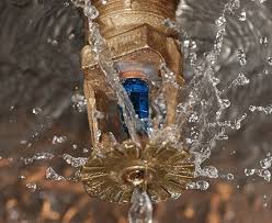 Fire Sprinkler Inspection Project